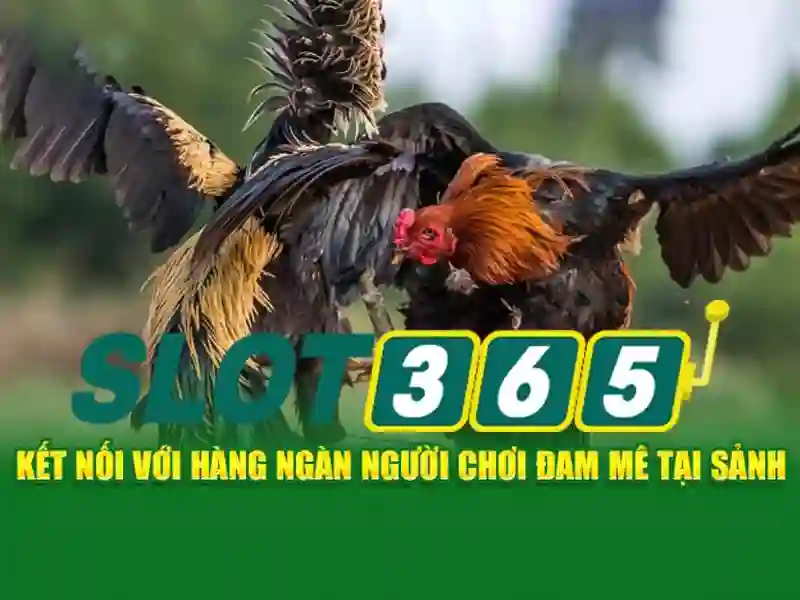 ưu điểm