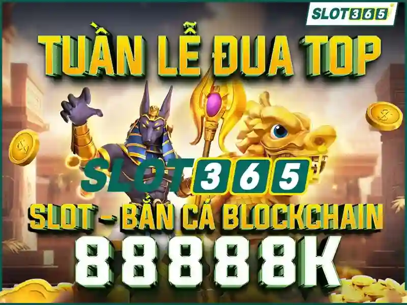trải nghiệm cá cược