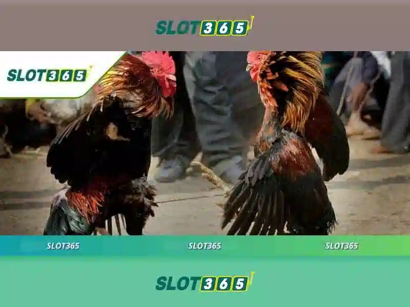 giải pháp hỗ trợ SLOT365