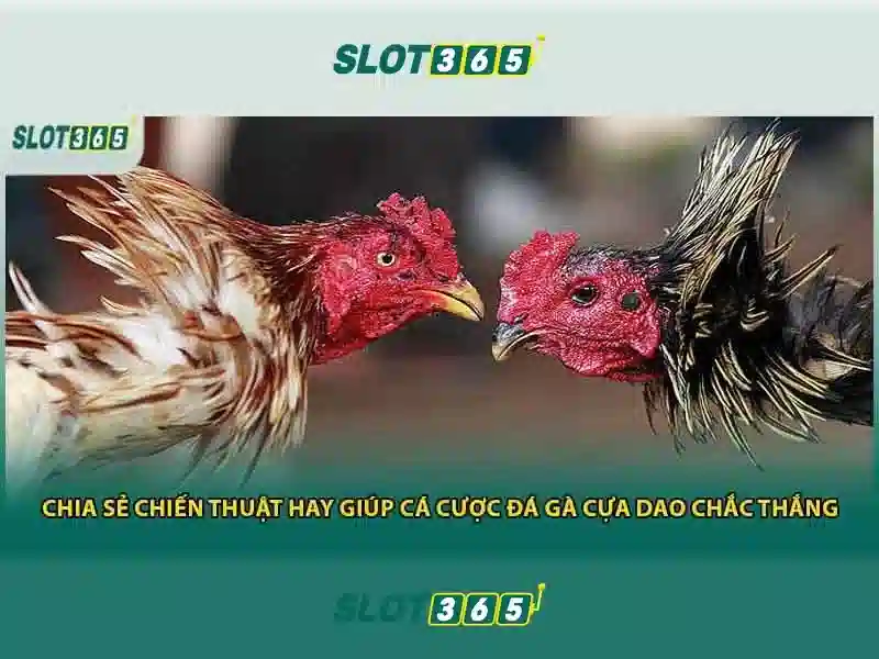 SLOT365 – Đa Dạng Trò Chơi Slot Với Đỉnh Cao Sự Thú Vị