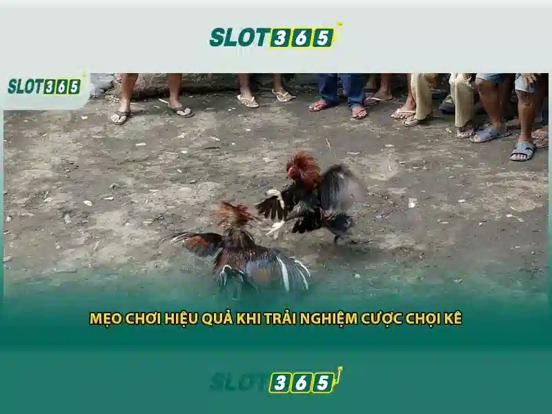 Slot365