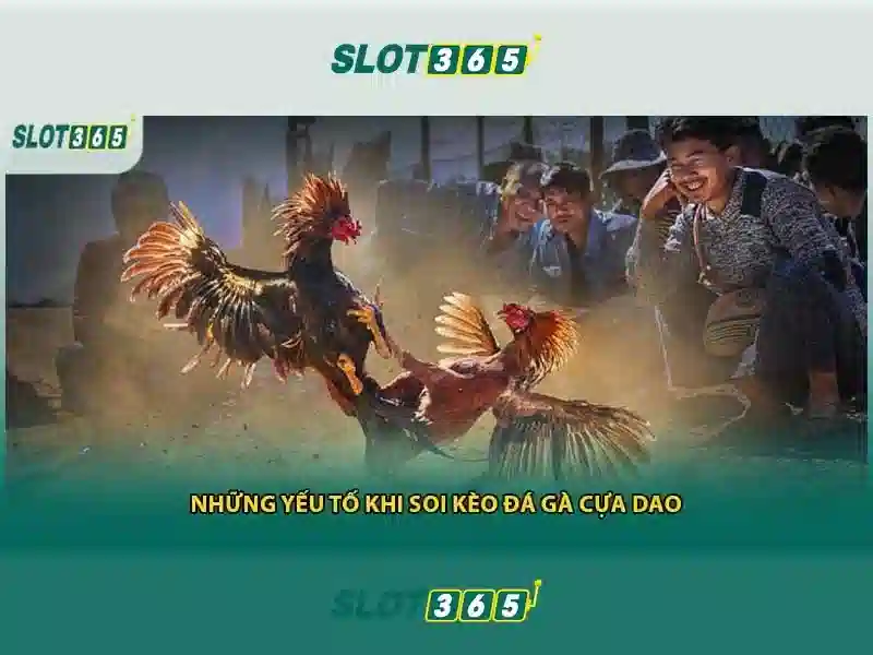 Trải nghiệm cá cược trực tiếp tại SLOT365