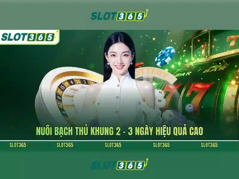 Hướng dẫn truy cập SLOT365