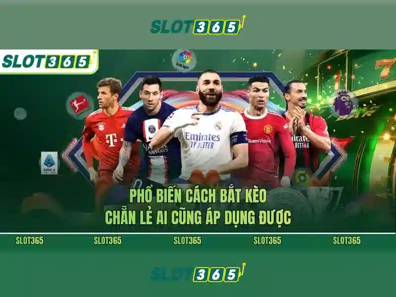 SLOT365 casino
