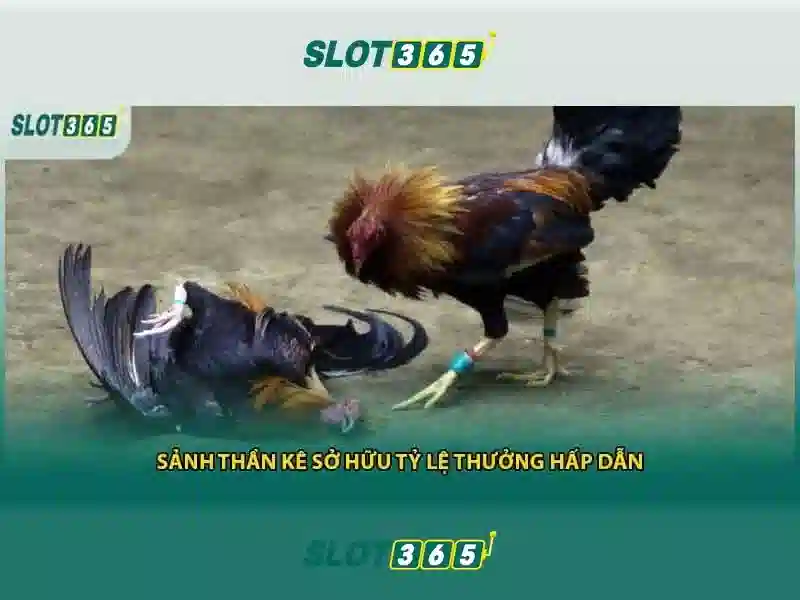 Tải SLOT365