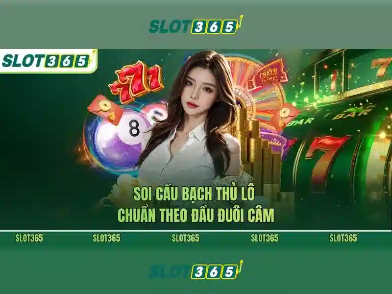 SLOT365 Tải