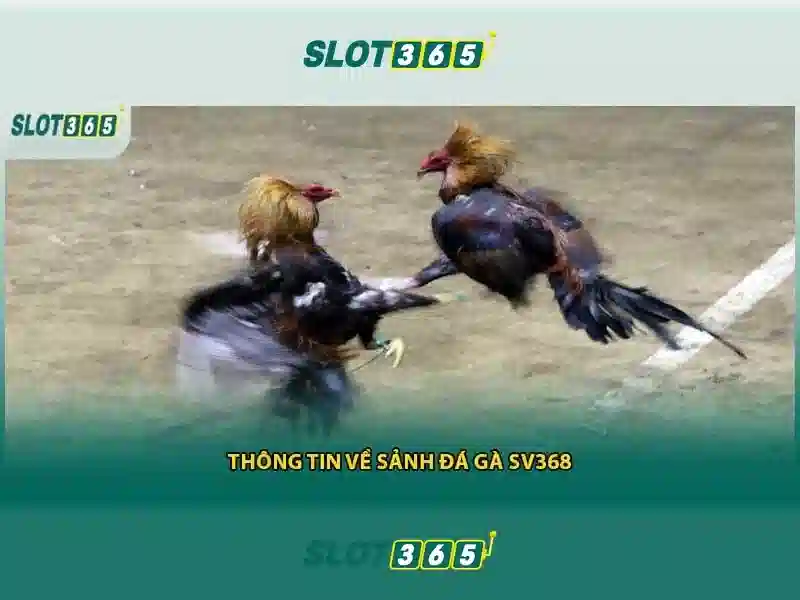 Chính sách bảo mật tại SLOT365