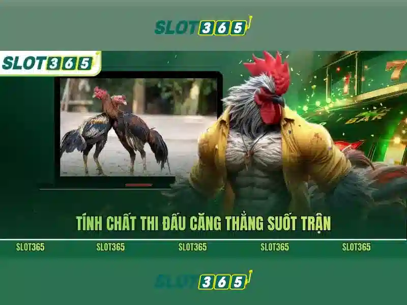 SLOT365 APK – Tải Ứng Dụng Slot365 Miễn Phí Trên Mọi Hệ Thống