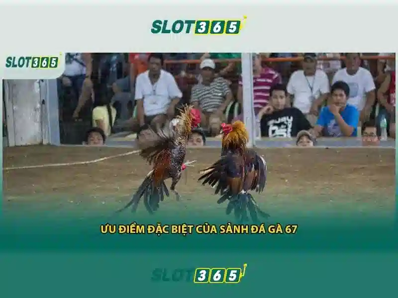 Slot365 Tải App