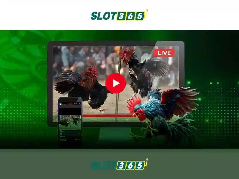 hỗ trợ Slot365
