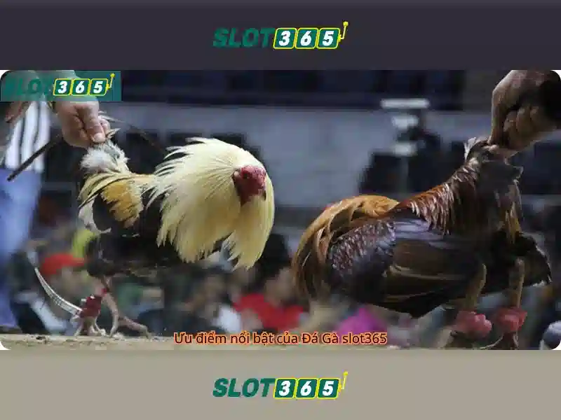 Đa Dạng Loại Game Slot