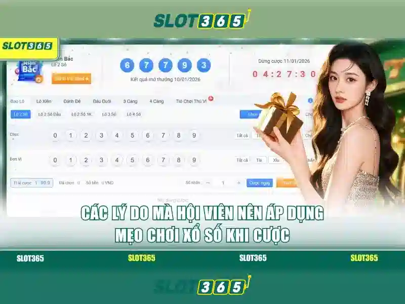 Khuyến Mãi Slot365