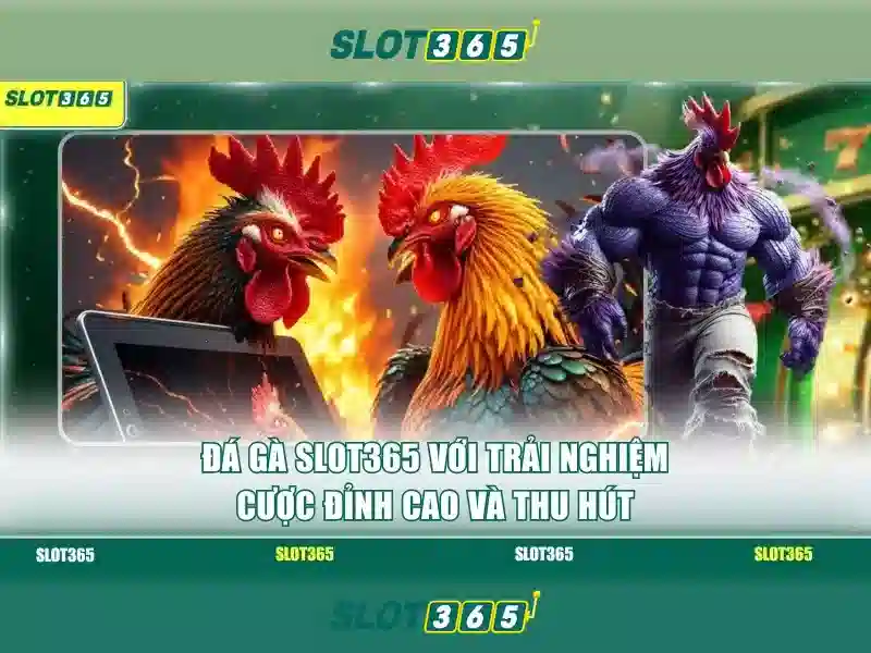 quyền riêng tư SLOT365