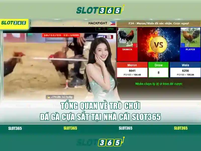 Trải Nghiệm Game SLOT