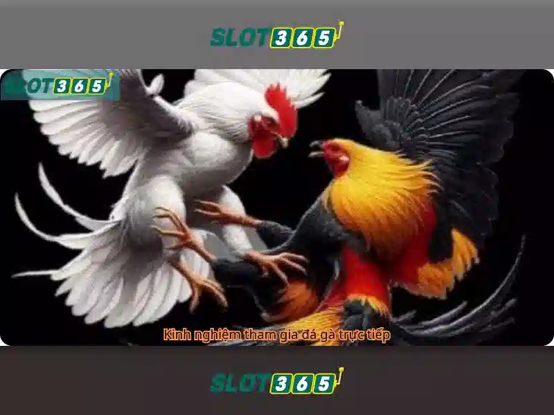Hướng Dẫn Đăng Nhập Slot365 Login Link