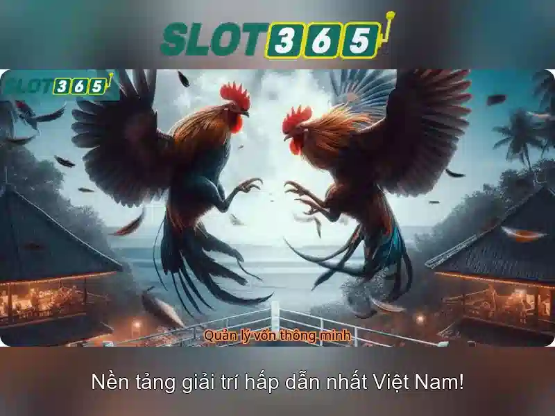 Cách Chơi Slot365 Cơ Bản