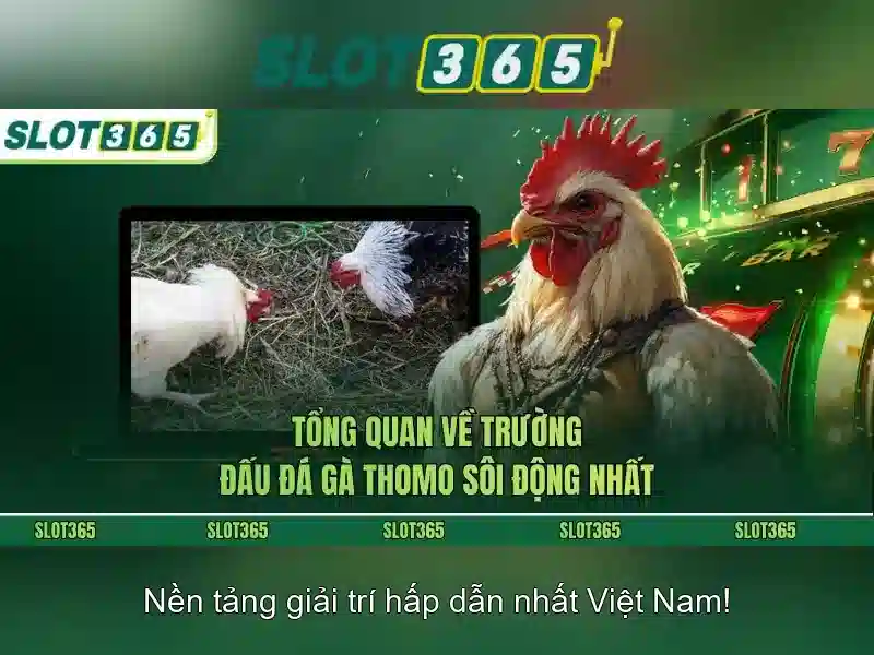 Mời Bạn Tham Gia Chương Trình Ưu Đãi Độc Quyền