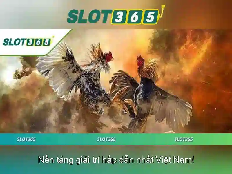 Quy trình nạp rút tiền SLOT365