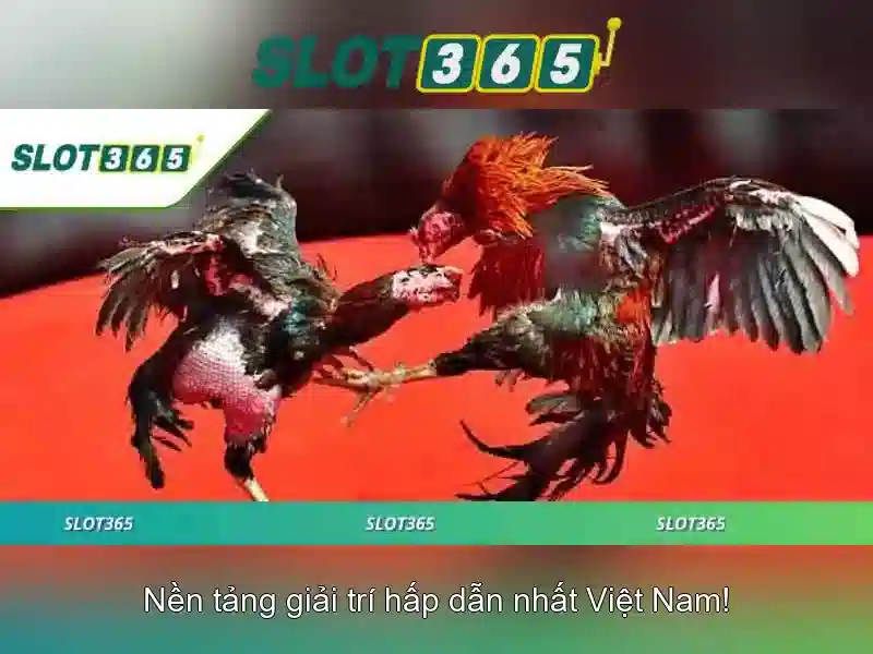 SLOT365 – Trải Nghiệm Chơi Slot Đỉnh Cao Tại Asia Slot365 Login