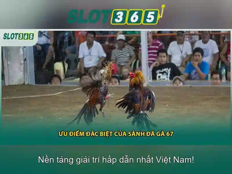 Trải Nghiệm Cá Cược Mượt Mà