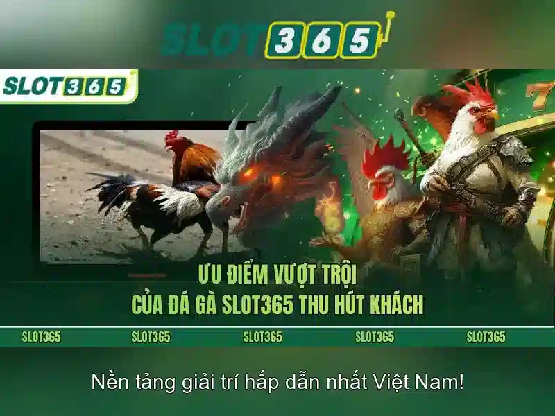 Slot365 app – Cách Chơi Hiệu Quả