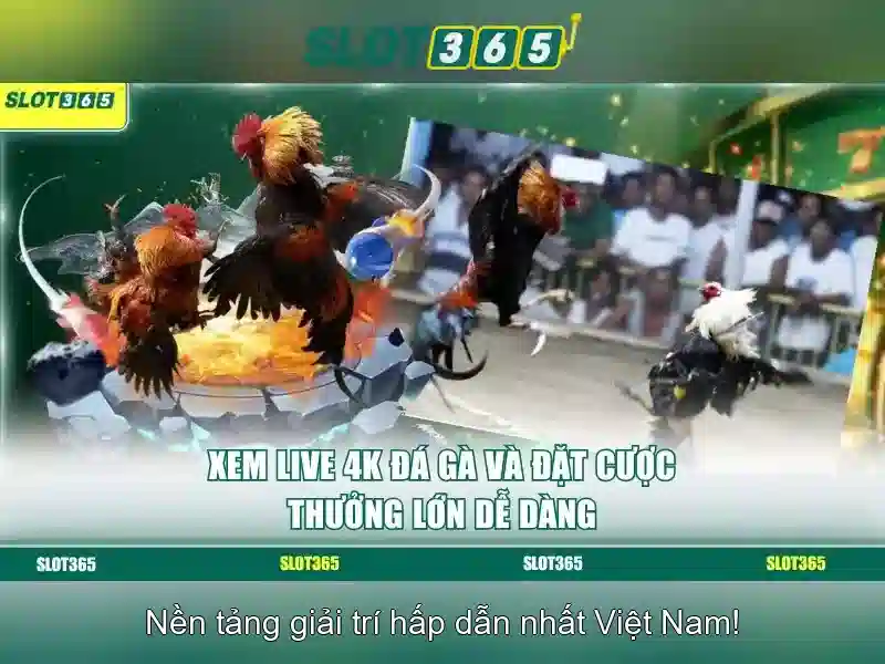 Hướng Dẫn Rút Thưởng Slot365