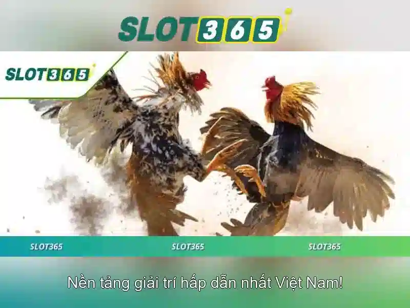 asia slot365