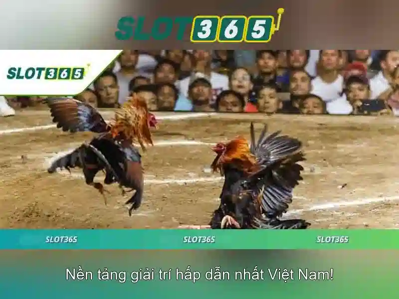 slot365 tải