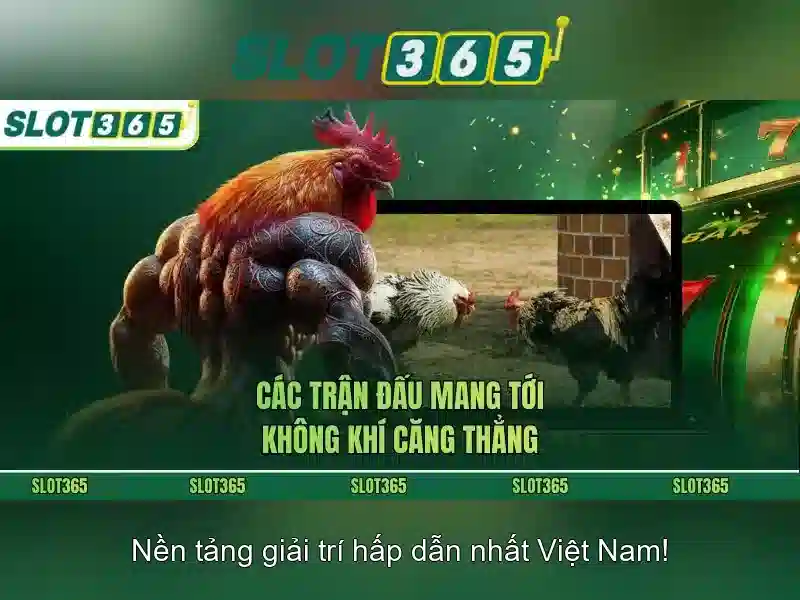 Khám phá link dự phòng Slot365