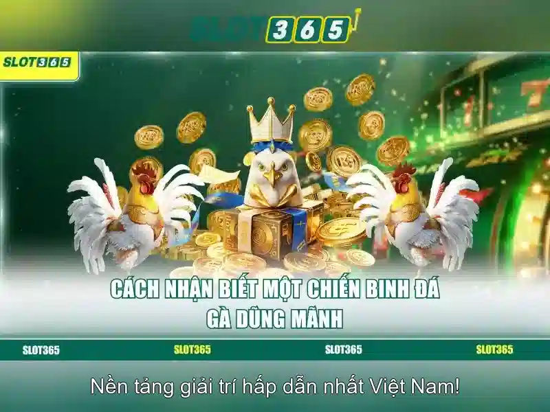mẹo chơi lô đề hiệu quả