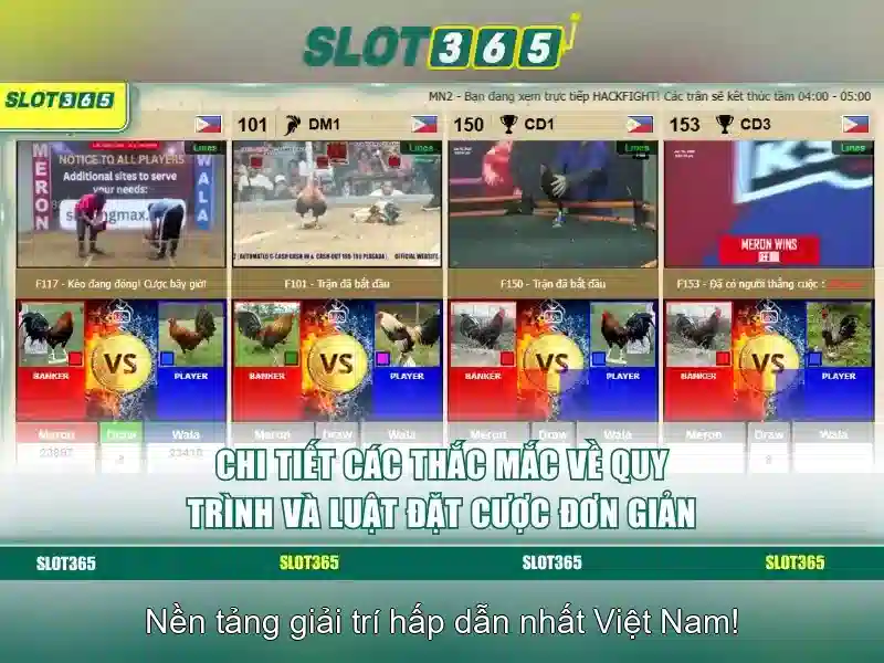 Tin Tức Thể Thao Nóng Nhất