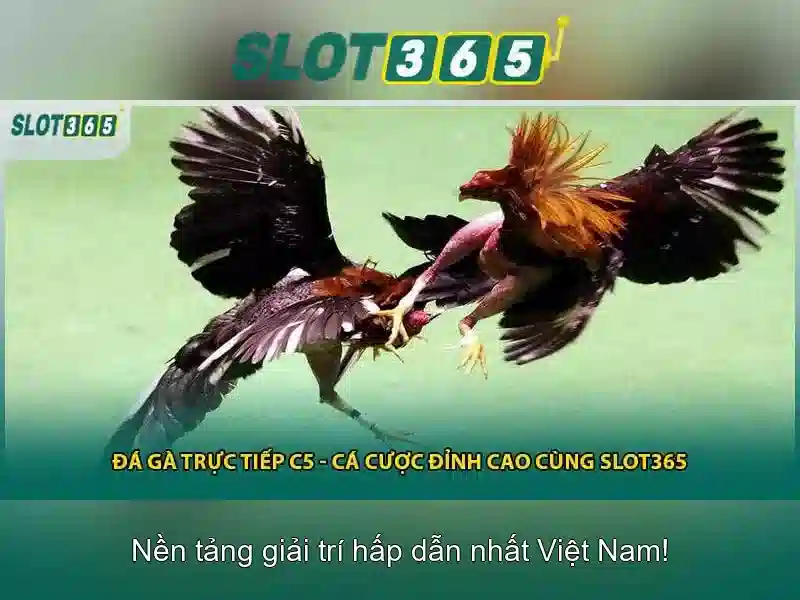 Khuyến Mãi Slot365