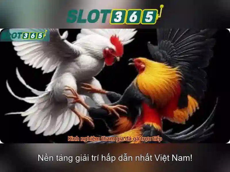 Slot365 apk