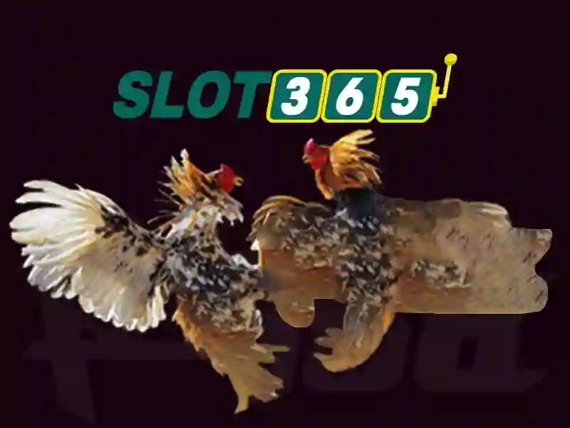 Nhập Tài Khoản Slot365