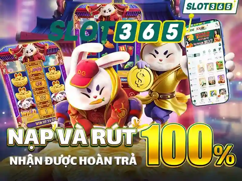 Quyền lợi người chơi SLOT365