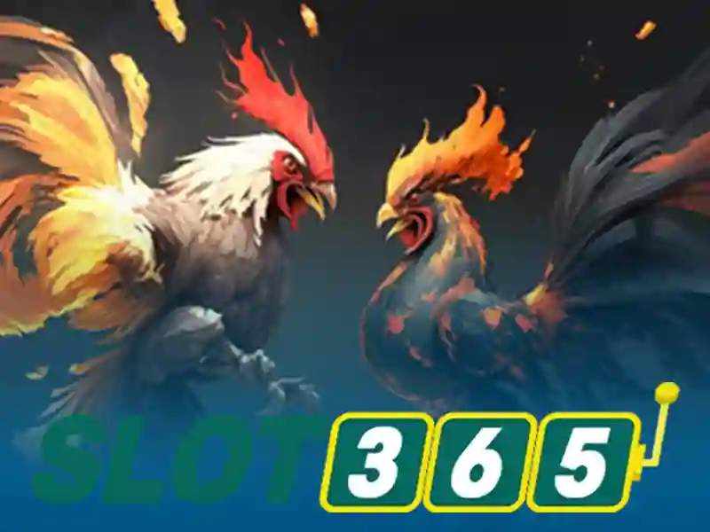Phương Thức Rút Thưởng Slot365