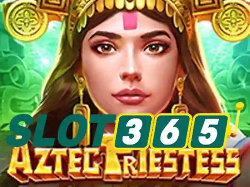 hỗ trợ Slot365