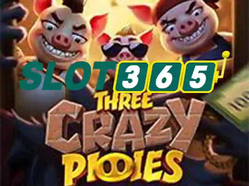 Tối Ưu Hóa Slot365